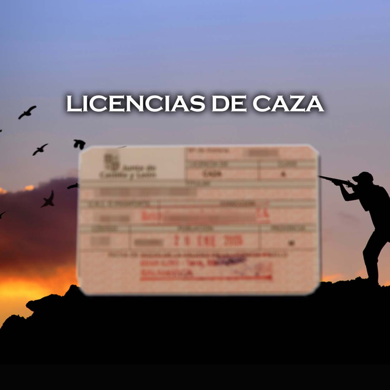 Licencia Caza Y Pesca Castilla Leon
